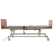 Long-Term_Care_Low_Bed_B310T