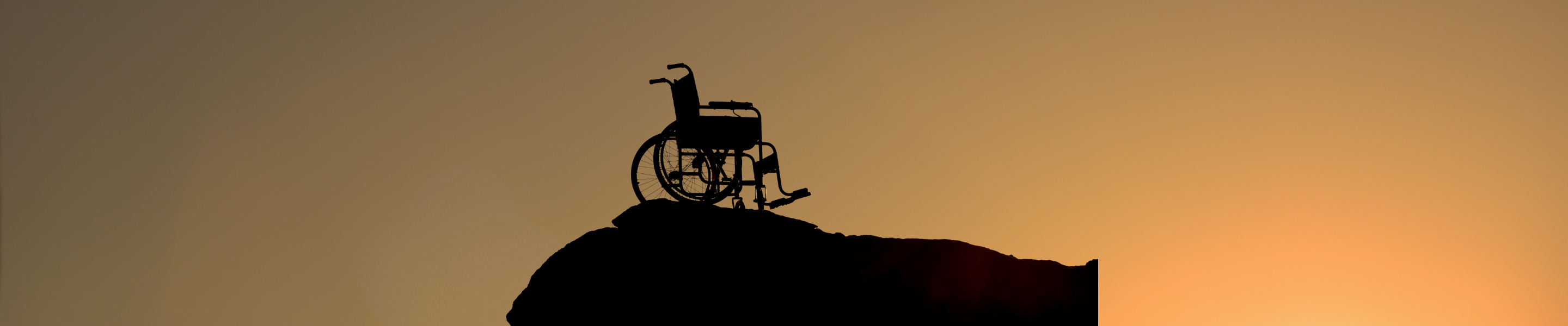 Wheelchair Accessories